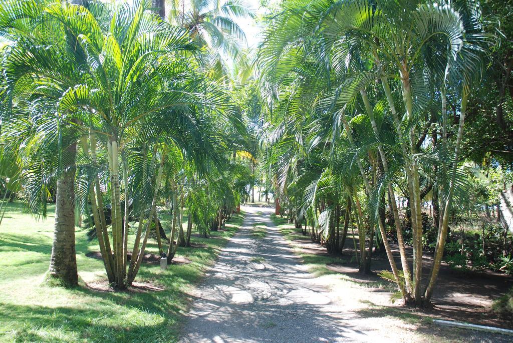 Beso Del Viento (Adults Only) Hotell Parrita Exteriör bild