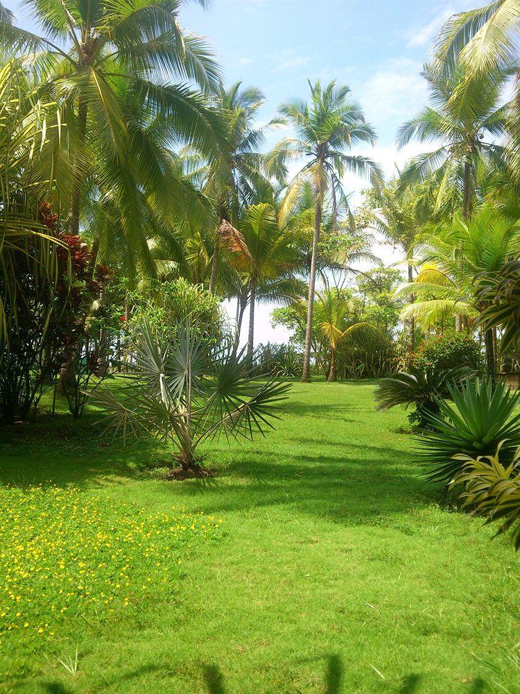 Beso Del Viento (Adults Only) Hotell Parrita Exteriör bild