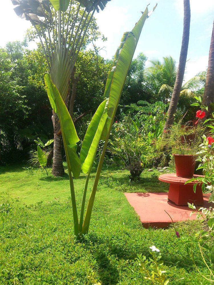 Beso Del Viento (Adults Only) Hotell Parrita Exteriör bild